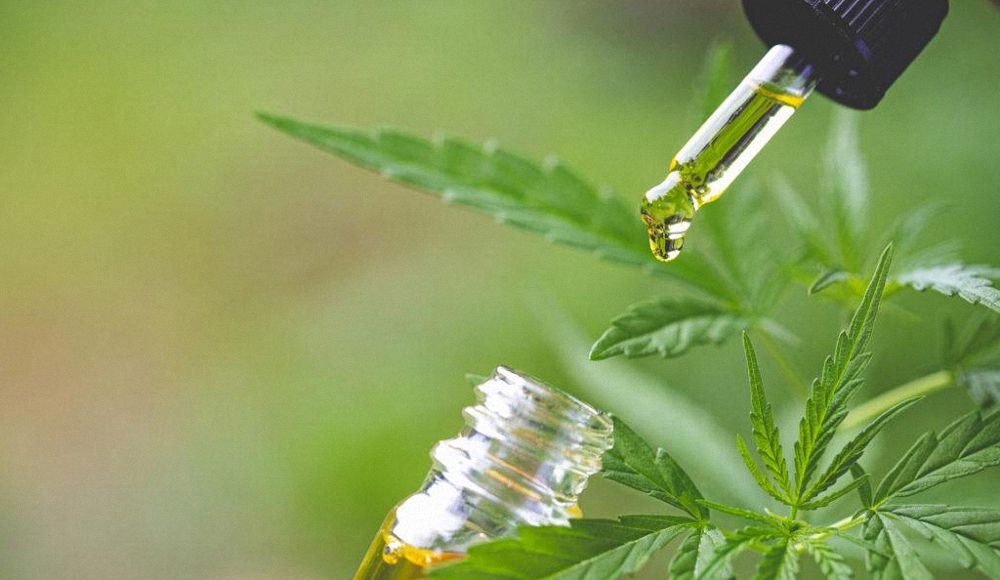 Cbd oil products growth