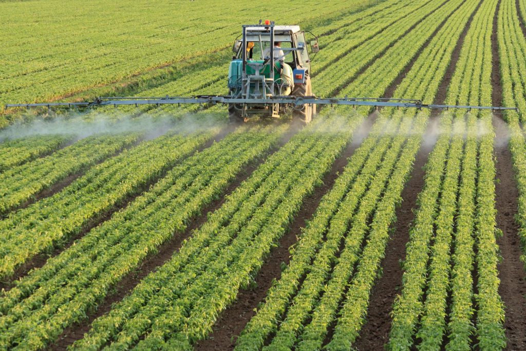 chlorpyrifos pesticides